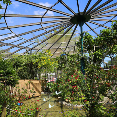 Coconut Creek - Buttefly World Coconut Creek - Buttefly World